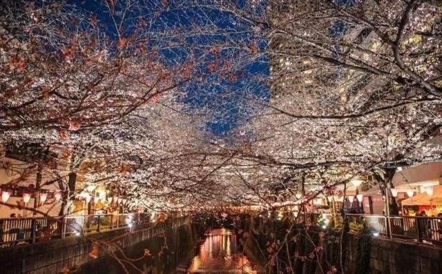 Sakuranomiya Hotel Osaka Luaran gambar